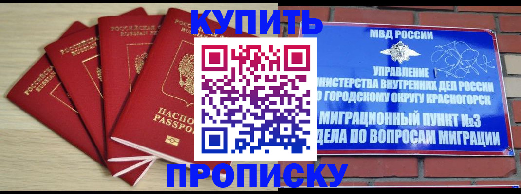 пропишу в квартире в Снежногорске